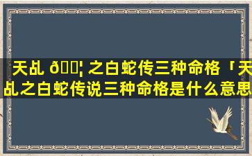 天乩 🐦 之白蛇传三种命格「天乩之白蛇传说三种命格是什么意思」